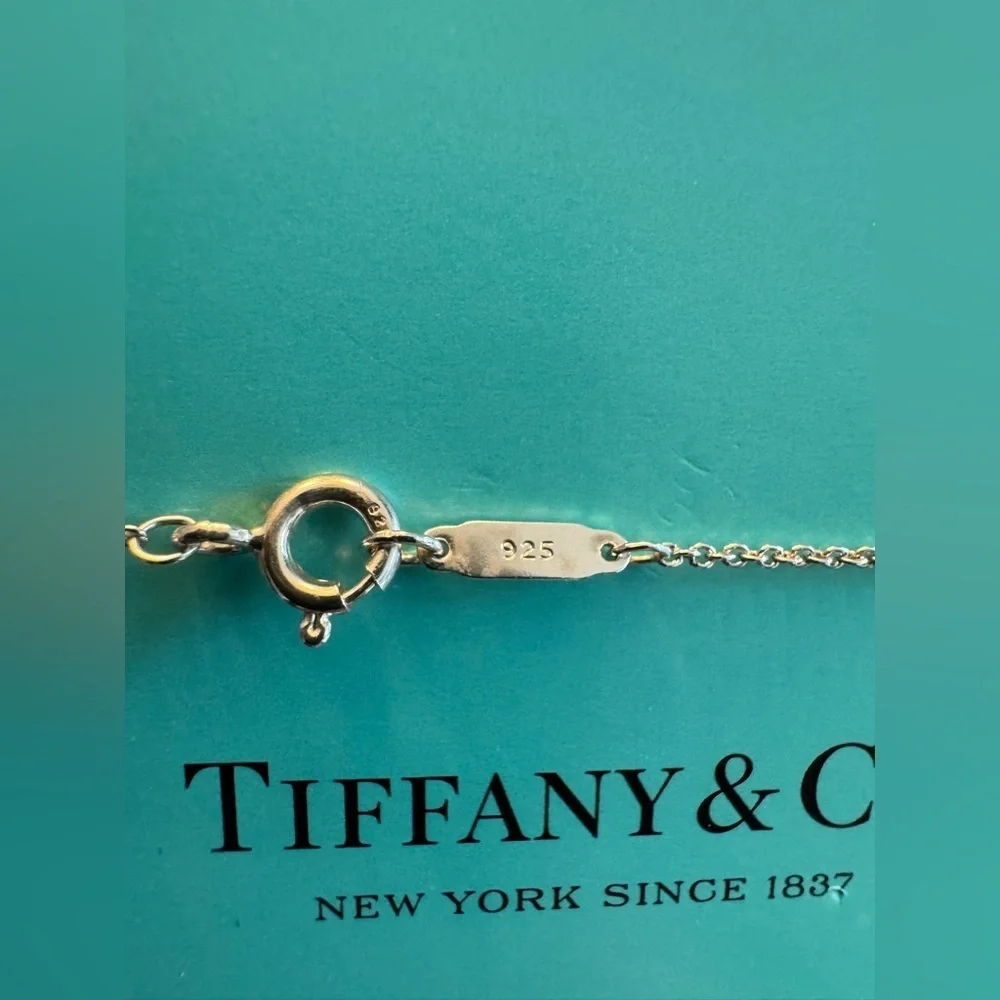 Tiffany & Co. Rare 925 Silver T&Co Dangle Letters Logo Pendant 16